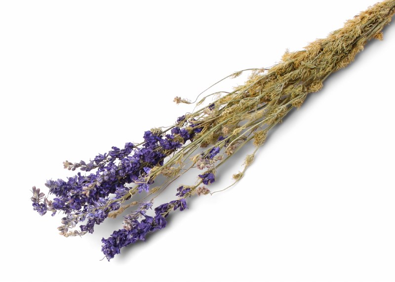 Picture of Dried Delphinium Blue 100g